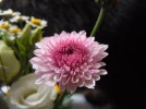 DSCN9850.webp