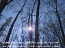 IMG-20200522-WA0009.webp