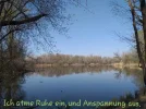 IMG-20200519-WA0020.webp