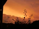 DSCN2530.webp
