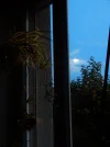 DSCN2535.webp