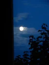 DSCN2536.webp