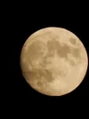 DSCN2540.webp