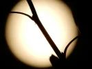 DSCN2550.webp