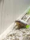 20200706_101430.webp