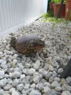 20200706_102852.webp