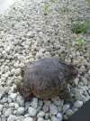20200706_102904.webp