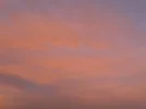 IMG_20200707_063601.webp