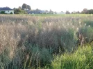 DSCN2560.webp