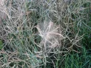 DSCN2557.webp