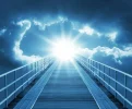 7 brücke.webp