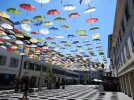 DSCN2570.webp