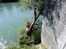 DSCN2574.webp