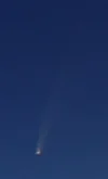 4Forum.webp