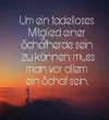 6132020124734.webp
