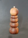 DSCN2575.webp