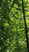 20200716_104402.webp