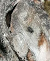 IMG_20200717_135229.webp