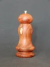 DSCN2592.webp