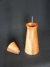 DSCN2598.webp