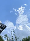 3D798440-9CEB-41CD-A2EA-C72FE5648198.webp