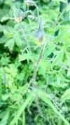 DSC_1214.webp