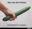 7 schlagstock.webp