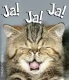7 ja.webp