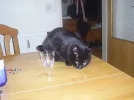SA400598.webp