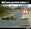 1 Rollsslit.webp