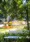 Park im Sommerlicht_6.webp