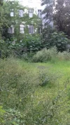 20200805_191039.webp