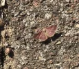 81F18B39-3113-43C8-ACDC-AFCBBACF90AB.webp