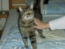 fotos alt 336.webp