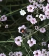 B1B59223-8DD4-4D98-B2B0-599AB1456582.webp