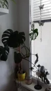 20200809_123549.webp