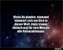 7 Ratenzahlungen.webp