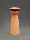 DSCN2630.webp
