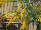 DSCN0354[1].webp