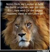 1 lowe.webp