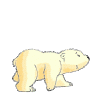 baer_39.gif