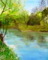PICT0011.webp