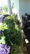 20200820_150537.webp