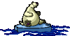 00001.gif