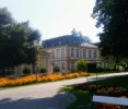 Blumenmeer_7.webp