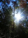 IMG-20200726-WA0006.webp