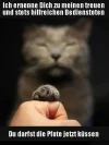 7 Bediensteten.webp