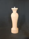 DSCN2647.webp