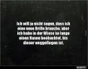 7 hase vogel wiese.webp