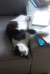 Felix_4.webp